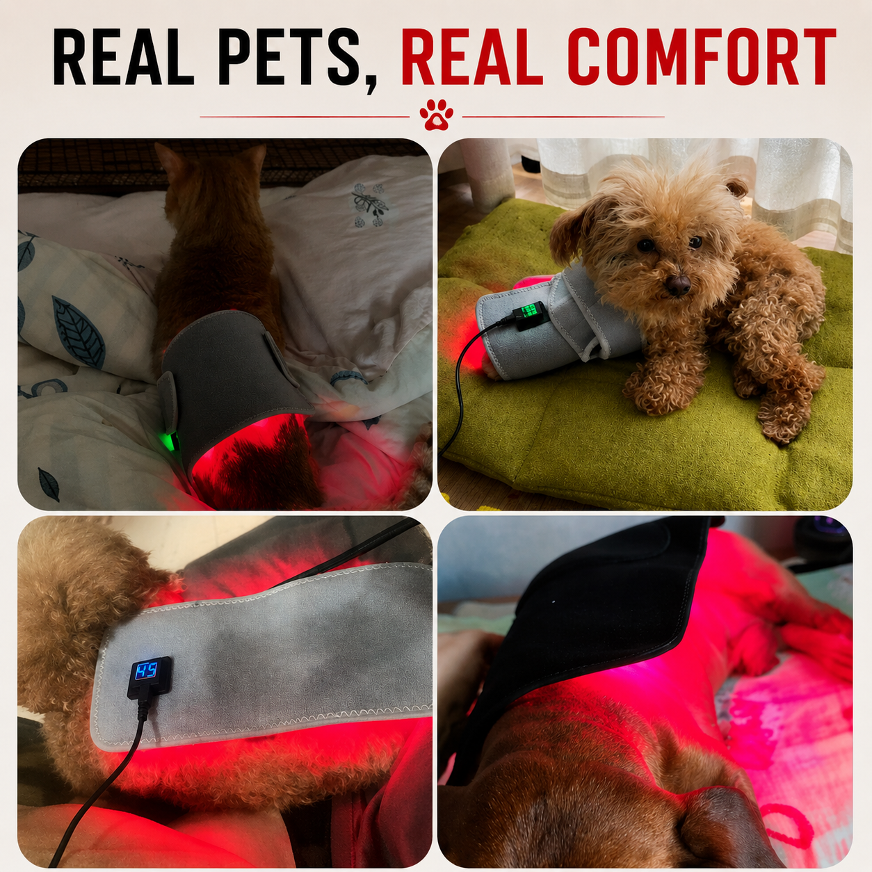PawRadiance™ Therapy Wrap